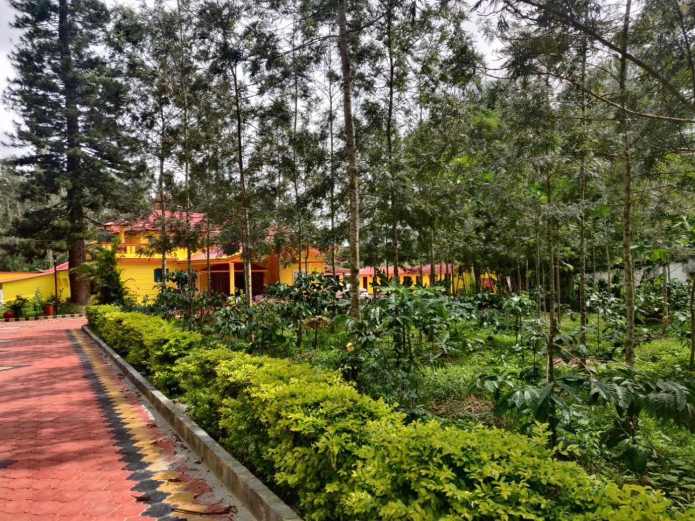 Coffeebean Villa - Unwind & Rejuvenate Sakleshpur Esterno foto